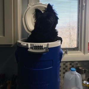 Meet your Posher, Aiden